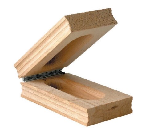 at001-1_e8cb13fe-1d45-4325-9821-6d2d98ccfae5