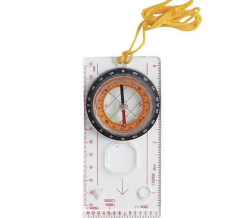 or113_ceee2683-1b91-4ea1-a586-35a4581bd15f